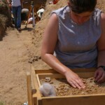 ARCHAEOLOGICAL SURVEY AND EXCAVATION