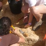 ARCHAEOLOGICAL SURVEY AND EXCAVATION