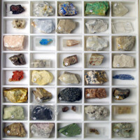 Comparative Collections