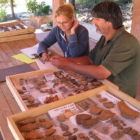 Conservation